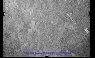AEROFOTO IGM 1981 558