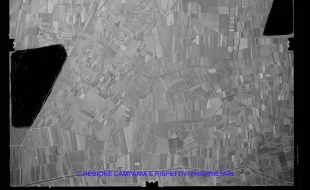 AEROFOTO IGM 1981 564