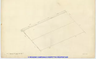 Acerra 6