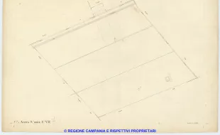 Acerra 7