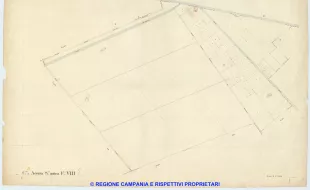 Acerra 8