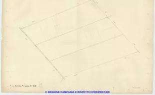 Acerra 12