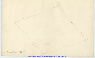 Acerra 13