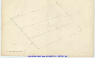 Acerra 19