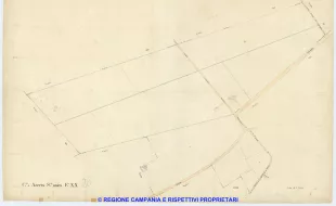 Acerra 20