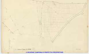 Acerra 23