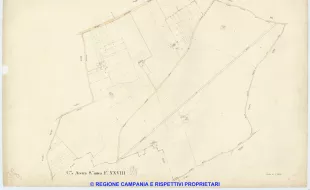 Acerra 28