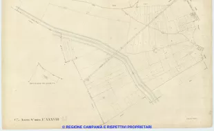 Acerra 38