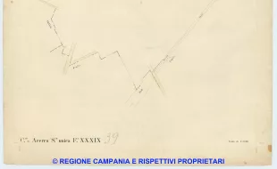 Acerra 39