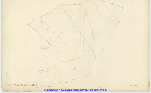 Acerra 44