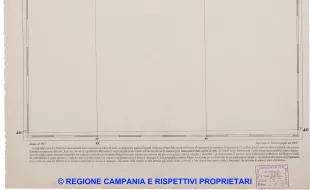 Pollica