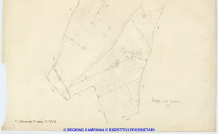Boscoreale 17