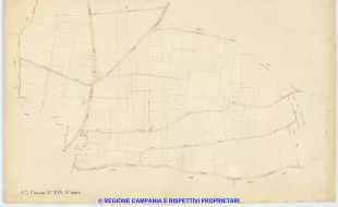 Caivano 19