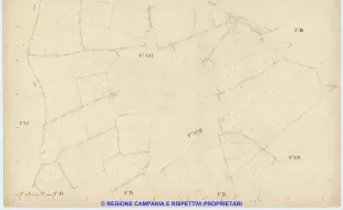 Casoria 4