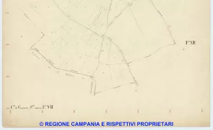 Casoria 7