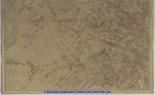 Arenella