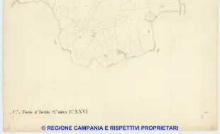 Forio d'Ischia 26