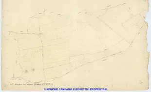 Giugliano 82