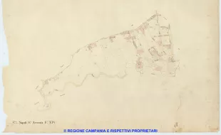 Napoli 14