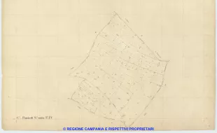 Ponticelli 4