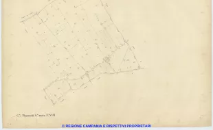 Ponticelli 8