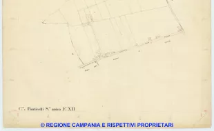Ponticelli 12