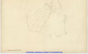 Ponticelli 14