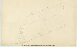 Ponticelli 15