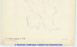 Palma Campania 8