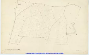 Palma Campania 20