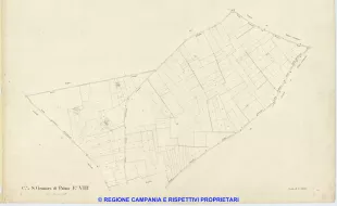 S. Gennaro di Palma 8