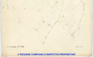 Saviano 8