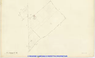 Saviano 11