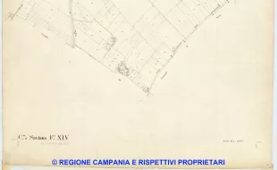 Saviano 14