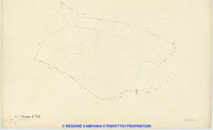 Visciano 12