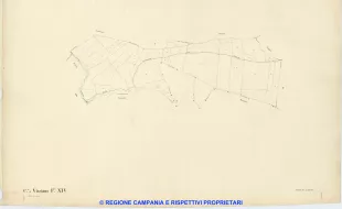 Visciano 14