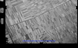 AEROFOTO IGM 1974 367