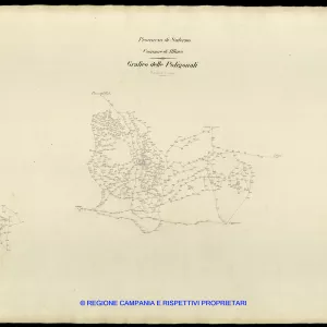 Grafico delle Poligonali