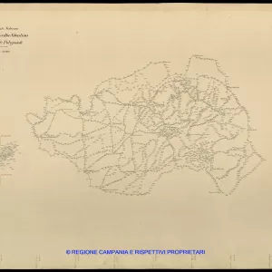 Grafico delle Poligonali