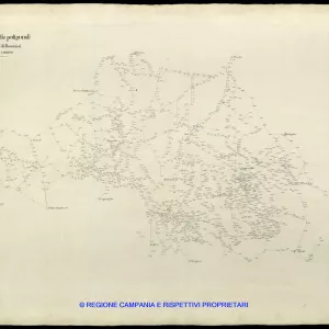 Grafico delle Poligonali