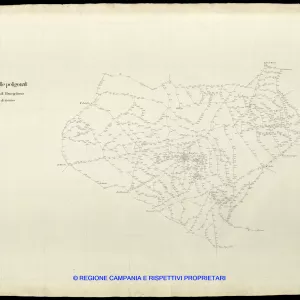 Grafico delle Poligonali