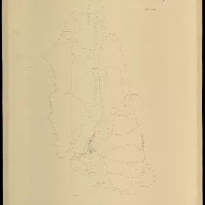 Grafico delle Poligonali