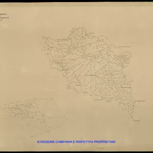Grafico delle Poligonali