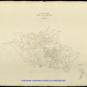 Grafico delle Poligonali