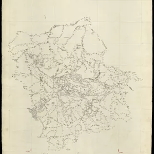 Grafico delle Poligonali