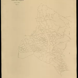 Grafico delle Poligonali