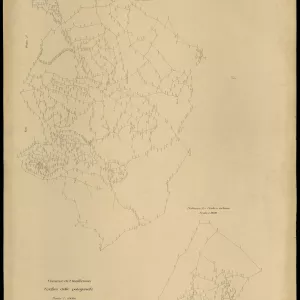 Grafico delle Poligonali