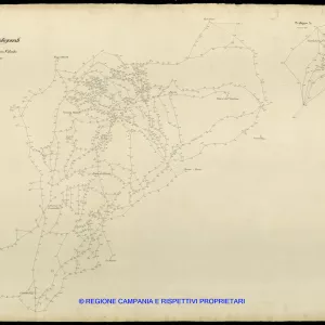 Grafico delle Poligonali