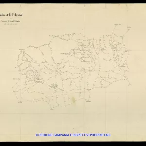 Grafico delle Poligonali