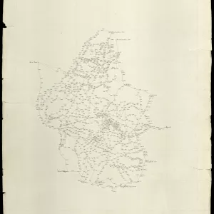 Grafico delle Poligonali